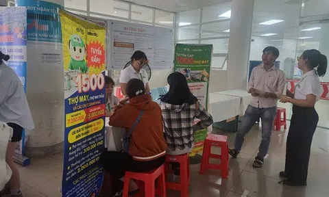 Hơn 20.000 cơ hội việc làm tại phiên giao dịch trực tuyến lần II năm 2025 ở Bà Rịa - Vũng Tàu
