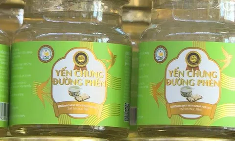 Hơn 23 ngàn sản phẩm yến chưng của Công ty TNHH Yến sào Tuấn Dương &TKT là hàng giả