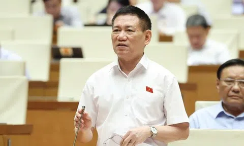 Phó Thủ tướng Hồ Đức Phớc: Nên áp dụng thuế khoán đối với hộ kinh doanh, buôn bán nhỏ, doanh thu dưới 1 tỷ đồng