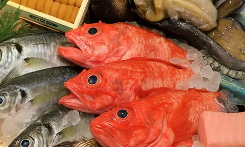 Ăn một loại cá thường xuyên có thể làm tăng mức thủy ngân trong não của bạn lên 10 lần!