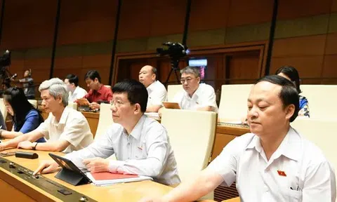 'Chốt' một quốc tịch với cán bộ giữ chức danh theo nhiệm kỳ