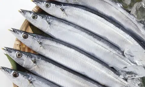 "Vua omega-3" là loại cá bình dân bán đầy chợ Việt, cá hồi ngậm ngùi hạng 2