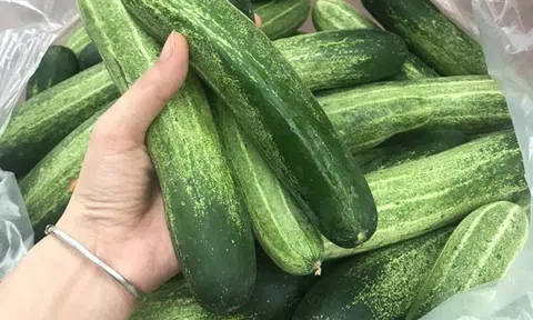 Đi mua dưa chuột mà thấy 5 dấu hiệu này rẻ mấy cũng đừng tham!