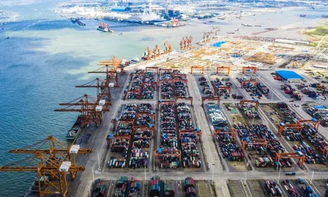 Loạt báo ngoại gọi tên mô hình kinh tế lần đầu tiên có ở Việt Nam, chuyên gia bình luận "táo bạo và hấp dẫn"