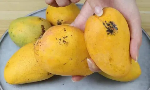 Mua xoài cứ dùng 5 mẹo này: Bách phát bách trúng, quả nào cũng ngọt như mía lùi