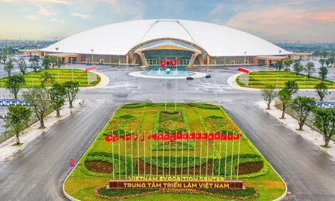 Sau 300 ngày thi công, nâng thành công 24.000 tấn thép lên cao 56m, Vingroup giúp Việt Nam tạo kỷ lục thế giới mới