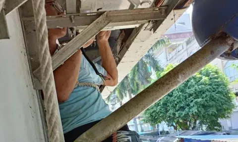 Không phải rắn, đây mới là "sát thủ" có thể chui ra từ điều hòa nhà bạn