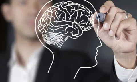 Nghiên cứu: 4 CÁCH nhanh nhất để phát triển não bộ, giúp IQ tăng vun vút, trở nên nhạy bén hơn