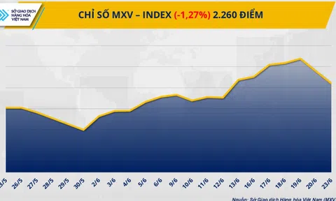 Giá cà phê đảo chiều tăng vọt, giá dầu thô lao dốc hơn 7%