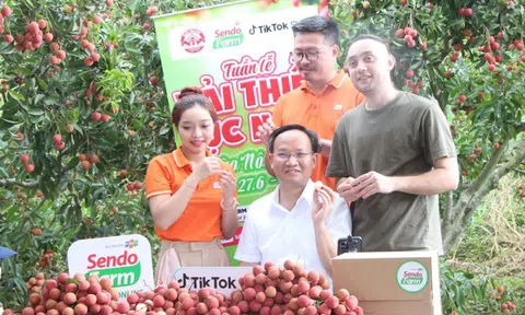 Phó Chủ tịch tỉnh Bắc Giang cũng xuống vườn livestream bán vải: Chốt đơn hàng chục tấn chỉ trong một buổi sáng