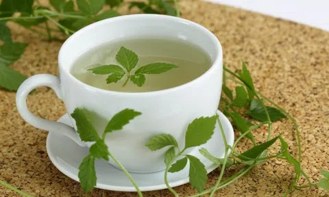 Loại cây mọc dại nhưng có khả năng chống oxy hóa cao gấp 8 lần trà xanh: Giải độc cơ thể, giảm mỡ máu
