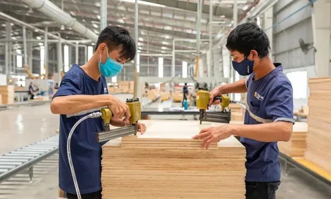 ‘Tấm hộ chiếu’ ESG giúp doanh nghiệp tiếp cận vốn