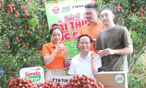 Lần đầu livestream, bán ngay 54 tấn vải thiều: Phó Chủ tịch Bắc Ninh nói gì?