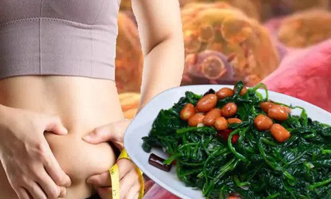 Người Việt có 1 loại rau giảm mỡ nội tạng đứng hàng tiên phong, thế giới nức nở khen vì siêu giàu dinh dưỡng, rất lợi cho phụ nữ