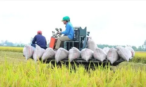 Việt Nam thu về 33,8 tỷ USD từ xuất khẩu nông sản, giao thương với Mỹ tăng mạnh