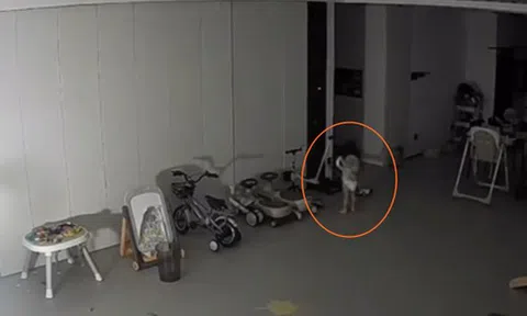 Đợi bố mẹ ngủ say, bé gái còn mặc bỉm nửa đêm bật dậy làm những việc không thể tin nổi!