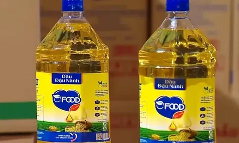 Bắt nữ giám đốc "phù phép" dầu ăn chăn nuôi thành cho người: Hé lộ mạng lưới doanh nghiệp dày đặc, nhưng khai thuế chỉ 5 người