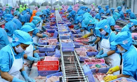 Doanh nghiệp Việt chuẩn bị sẵn sàng để thích ứng với thuế quan của Mỹ