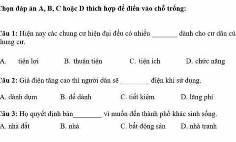 Làm đề thi tiếng Việt cho người nước ngoài, dân bản xứ tự hoài nghi khả năng dùng tiếng mẹ đẻ của mình