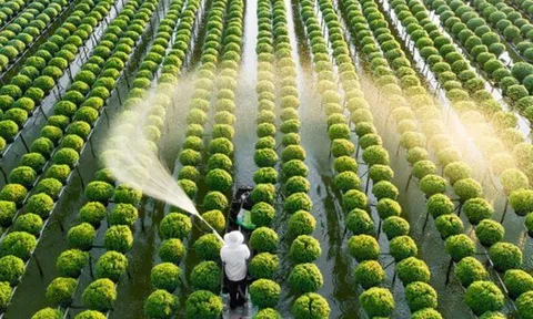 Doanh nghiệp Brazil – Nhật muốn đưa Việt Nam thành “cứ điểm” phát triển nông nghiệp công nghệ cao ở châu Á