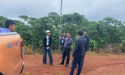 Vụ hơn 5,5 ha cà phê chết cành, rụng quả bất thường ở Lâm Đồng: Cơ quan chức năng lấy mẫu phân bón đi phân tích