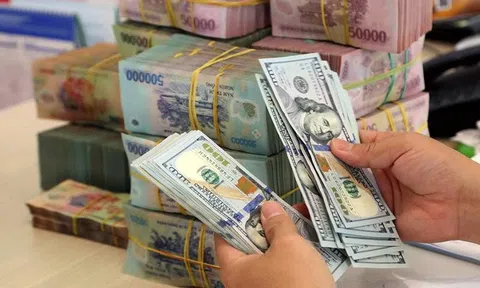 Tỉ giá tiếp tục chịu áp lực trong 6 tháng cuối năm