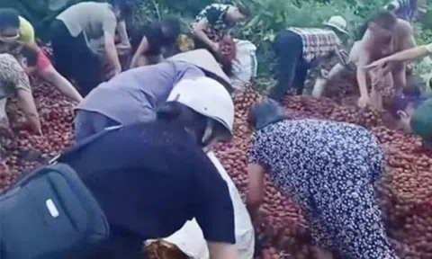 Vụ hàng chục người nhặt vải ven đường sau tai nạn có kết thúc đầy tình người