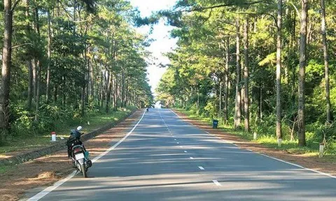 Quảng Ngãi sẵn sàng làm cao tốc, sân bay Lý Sơn, Măng Đen