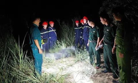 Đà Nẵng thông tin chính thức vụ du khách tử vong vì rơi dù lượn