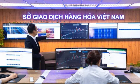 Sức mạnh giành thị phần: 5 công ty môi giới hàng hóa giữ vị thế áp đảo