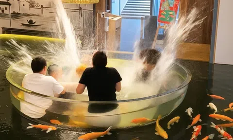 Bàn tiệc bất ngờ vỡ tung giữa lúc đang ăn khiến các thực khách rơi thẳng xuống nước: Thiết kế nhà hàng gây tranh cãi
