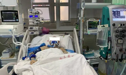Gia đình 3 người nguy kịch sau khi ăn loại rau này: Bác sĩ nói 1 sai lầm khiến rau nhiễm độc tố cực mạnh