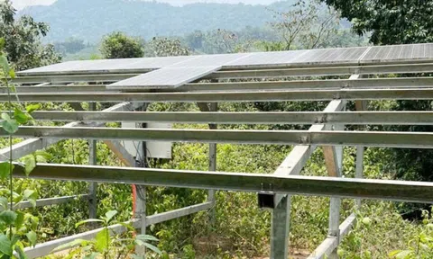 Dự án điện mặt trời 14 triệu USD thành phế liệu: Hàng loạt sai phạm nghiêm trọng, khó khắc phục