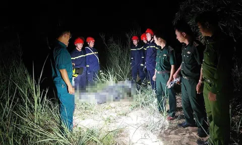 Đà Nẵng thông tin chính thức vụ du khách tử vong vì rơi dù lượn