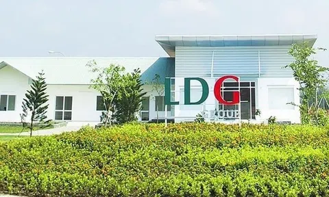 Cổ phiếu LDG tăng gấp đôi sau nửa tháng, công ty nói gì?