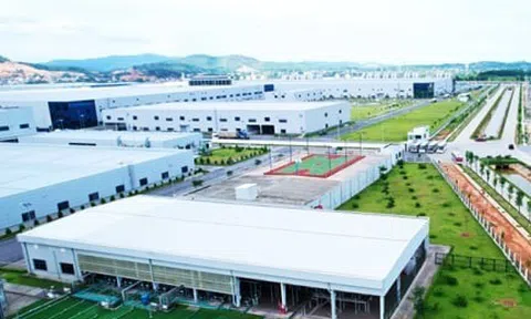 Nhiều doanh nghiệp lớn đề xuất đầu tư hàng tỷ USD vào Quảng Ninh