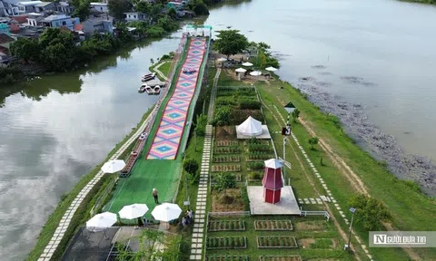 Bị xử phạt hơn 5 tháng, chủ nông trại vẫn không tháo dỡ công trình
