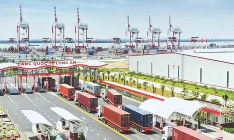 Cảng biển Long An đặt mục tiêu đạt 20 triệu tấn hàng hóa vào năm 2030