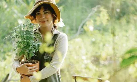 "Hoa nở rộ nhưng vận không thịnh": 6 loại hoa đẹp nhưng không nên trồng trong nhà, đừng để vẻ ngoài đánh lừa bạn