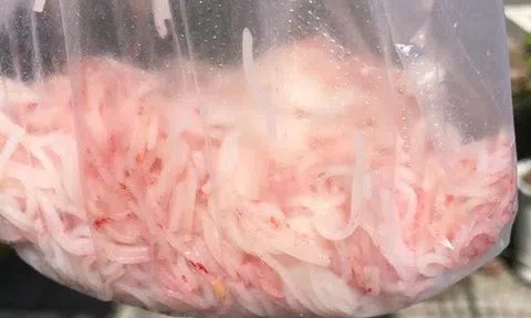 Tìm ra vi khuẩn gây hiện tượng bún đổi màu đỏ bất thường ở Đà Nẵng