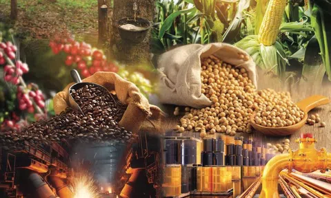 Thị trường hàng hóa nguyên liệu thế giới quay đầu giảm do lo ngại thuế quan từ Mỹ