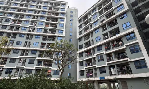Những điểm nghẽn khiến đề án "1 triệu căn nhà ở xã hội" mới chỉ đạt 8% mục tiêu sau 4 năm thực hiện