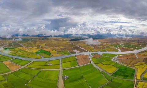 Đề xuất dự án điện gió gần 320 triệu USD ở vùng đầm phá Quảng Trị