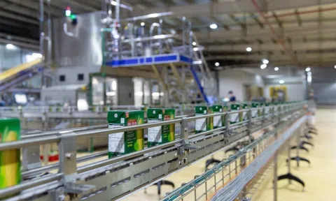 Giải pháp mới đánh dấu cuộc cách mạng cho ngành bao bì thực phẩm tại Việt Nam