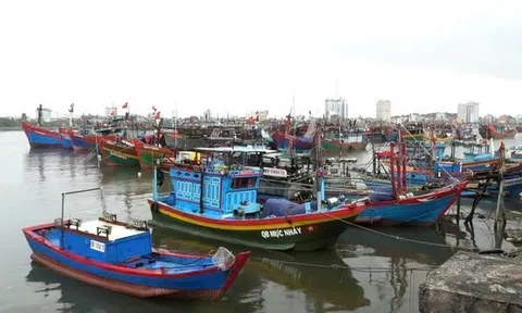 Quảng Trị cứu 7 ngư dân bị chìm tàu, chủ động ứng phó cơn bão số 3