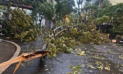 Mưa to, gió lớn ở Hà Nội và nhiều địa phương phía Bắc có phải do ảnh hưởng bão số 3?