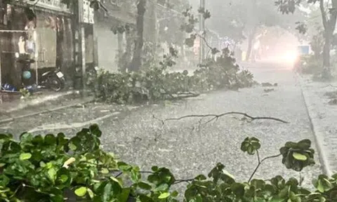 Vì sao bão Wipha chưa đổ bộ, Hà Nội và loạt tỉnh miền Bắc đã mưa dông mạnh?