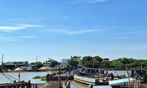 Ninh Bình tạm dừng hoạt động cầu phao Ninh Cường trước bão số 3