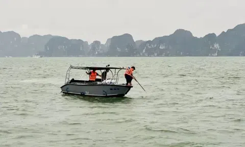 Bảo hiểm dự kiến bồi thường hơn 14 tỷ đồng vụ lật tàu Vịnh Xanh 58