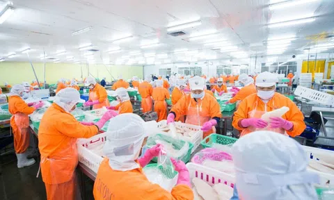 'Đại gia' Việt Nam xuất khẩu cá tra lớn thứ 2 thế giới thắng lớn
